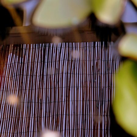 Home Holiday Salento Casa Agrosi Supersano エクステリア 写真